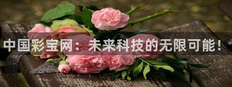 GB果博3平台登录注册：中国彩宝网：未来科技的无限可能！