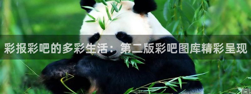 GB果博体育凯捷代理注册：彩报彩吧的多彩生活：第二版彩吧图库精彩呈现